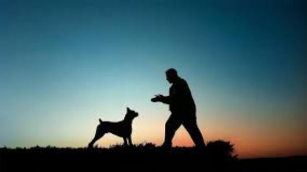 ढाई दिन बाद मालिक के घर के पास मिला मारू ढाई दिन बाद मालिक के घर के पास मिला मारू