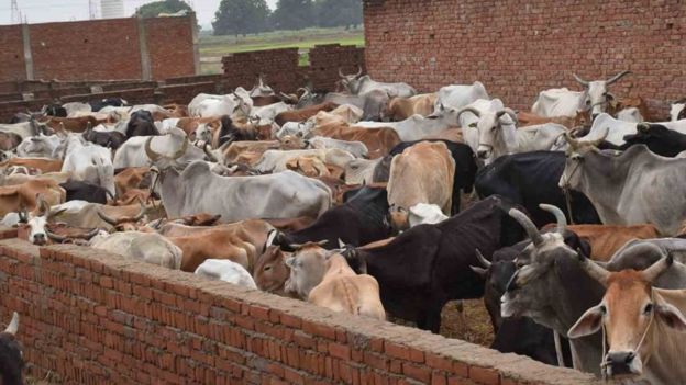 SAMIRATMAJ MISHRA SAMIRATMAJ MISHRA