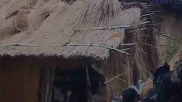 प्रधान ने यह बताया