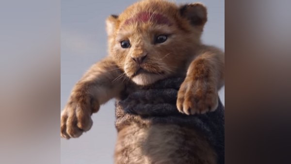 सरकार शेरों के इलाज के लिये अस्पताल बनवा रही