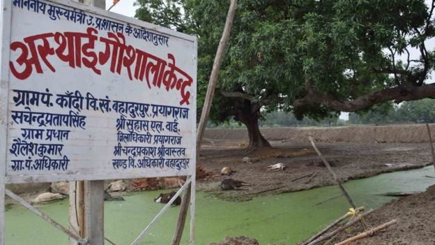 SAMIRATMAJ MISHRA SAMIRATMAJ MISHRA