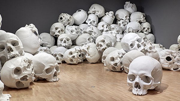 जानिए कितना है इंसानी खोपड़ी का पूरा कारोबार