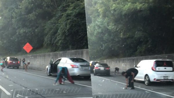 अचानक ट्रक का दरवाजा खुला और बरसे नोट