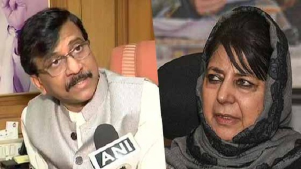 'पाकिस्तान ने हरी जर्सी पहन रखी है तो वे क्यों हार रहे हैं'