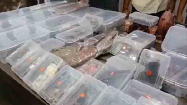 illegal weapon factory busted by the police, 12 arrested