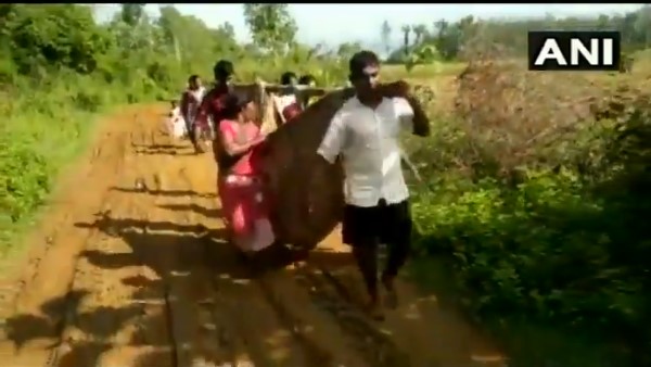 pregnant woman carried for more than 6 kms from Kothavalsa village in Visakhapatnam pregnant woman carried for more than 6 kms from Kothavalsa village in Visakhapatnam