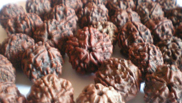  रूद्राक्ष धारण पहनने के फायदे 