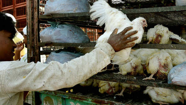 मुर्गियों के पंख और महिला के कमरे में बंधे ताबीज से पुलिस को मिला सुराग