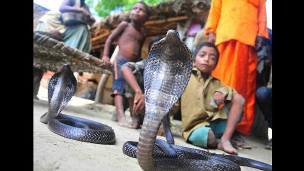 बच्चे हांथों में सांप थामे या गले में सांप लटकाए रहते हैं