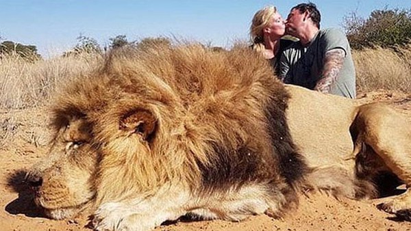 सोशल मीडिया पर हो रही आलोचना