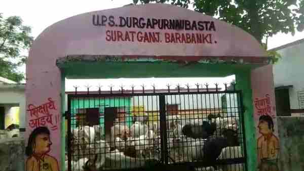 गायों को स्कूल में ग्रामीणों ने किया बंद