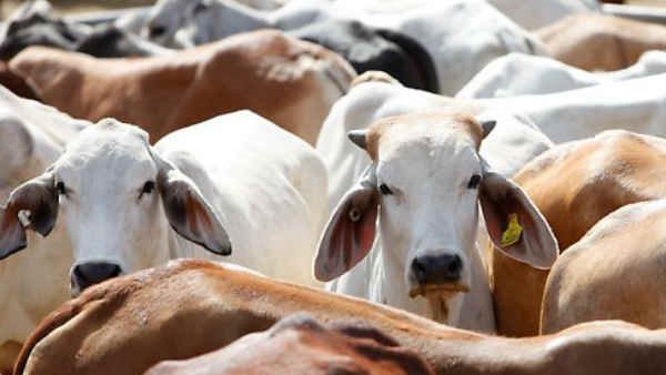 जमीनी हकीकत जानने के लिए सही आंकड़े जरूरी