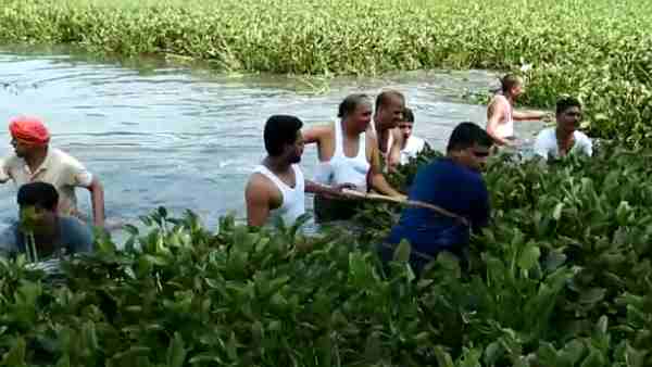 तालाबो से जलकुम्भी निकलवा कर उन्हें साफ करवाया