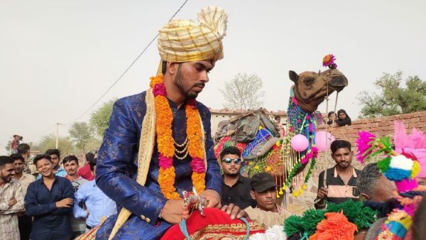 Groom on the camel in Gangiyasar village of Jhunjhunu Groom on the camel in Gangiyasar village of Jhunjhunu