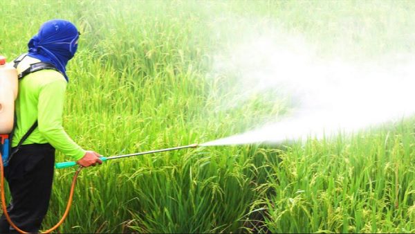 क्या है प्रधानमंत्री किसान पेंशन योजना