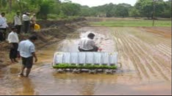कंपनियां और डीलर भ्रमित करने वाली दवाओं का मिश्रण कर रहे