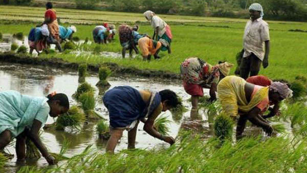 किसानों आय को दोगुना करने का लक्ष्य 