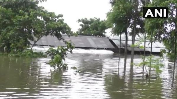 काजीरंगा राष्ट्रीय उद्यान का 95% हिस्सा बहा