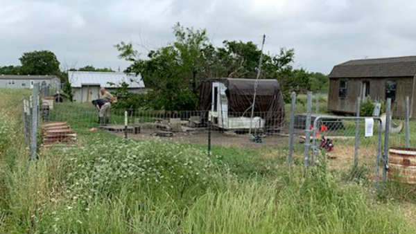 घास में नजर आया फ्रेडी का कातिल 