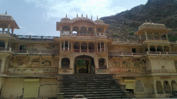 Monkey gave birth to twins Baby at Galta ji Jaipur