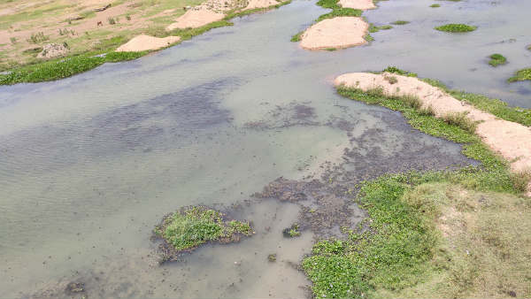 क्या कहते हैं डॉक्टर