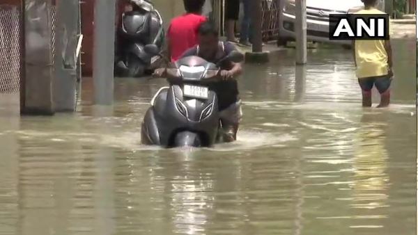 काजीरंगा राष्ट्रीय उद्यान में स्थिति में सुधार