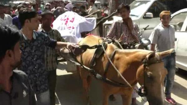 करंट की चपेट में आया घोड़ा, मलिक के दूरा गिरा दिया करंट की चपेट में आया घोड़ा, मलिक के दूरा गिरा दिया