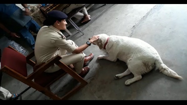 21 जून की पांच की हत्या