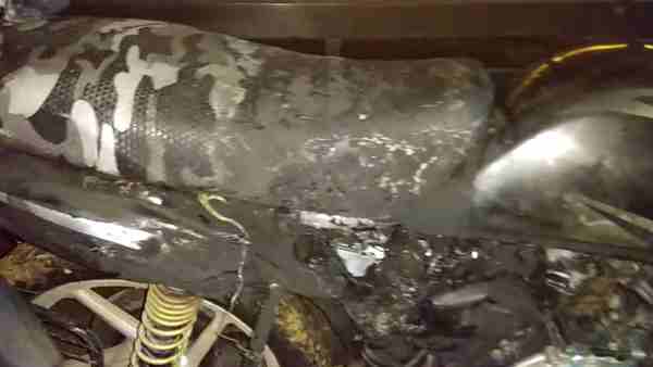 खुद को आग लगाकर बाइक पर घुमा व्यापारी