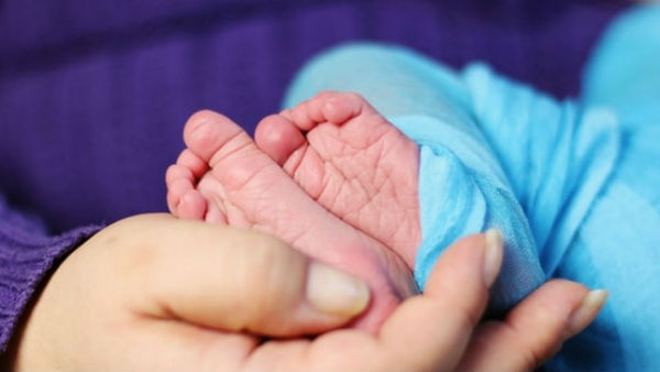 कुत्तों ने बचाई थी बच्ची की जान कुत्तों ने बचाई थी बच्ची की जान