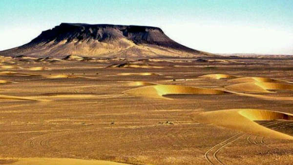 क्या है रेको डिक क्या है रेको डिक