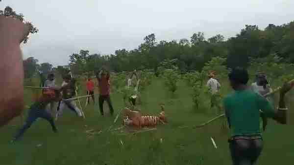 9 लोगों को किया था जख्मी 9 लोगों को किया था जख्मी