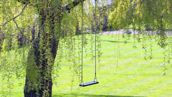 भारत में भी हो ऐसी पहल भारत में भी हो ऐसी पहल