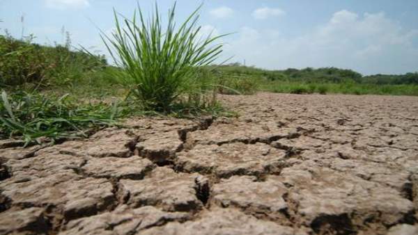 राज्य के कई इलाके जलसंकट का सामना कर रहे 