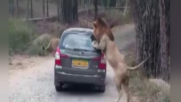 सरकार पीड़ित व्यक्ति के परिजनों को देती है 4 लाख रुपए