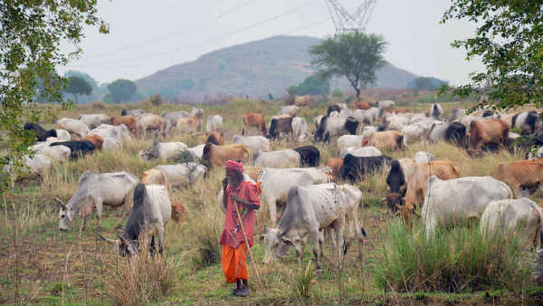 लोकसभा चुनावों में बना था बड़ा मुद्दा