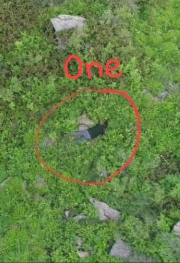  भारतीय सेना की बड़ी कार्रवाई