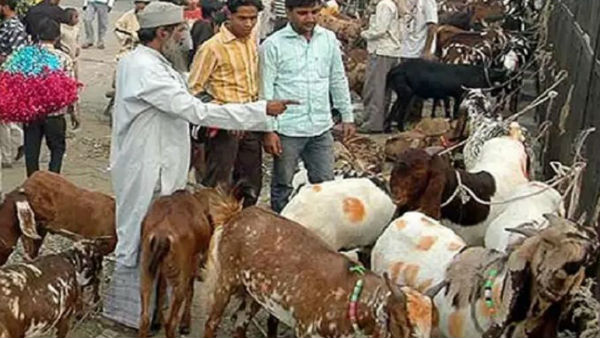 सोना बेचकर बकरा खरीद रहे हैं पाकिस्तानी सोना बेचकर बकरा खरीद रहे हैं पाकिस्तानी