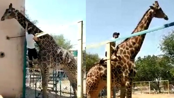 नशे में शख्स की करतूत