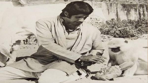 लक्ष्मण झूला और बॉलीवु़ड कनेक्शन 