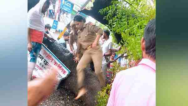 पेड के नीचे दब गए थे तीन ई-रिक्शा चालक पेड के नीचे दब गए थे तीन ई-रिक्शा चालक