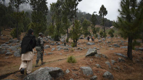 पहले कहा सिर्फ पेड़ गिरे हैं 