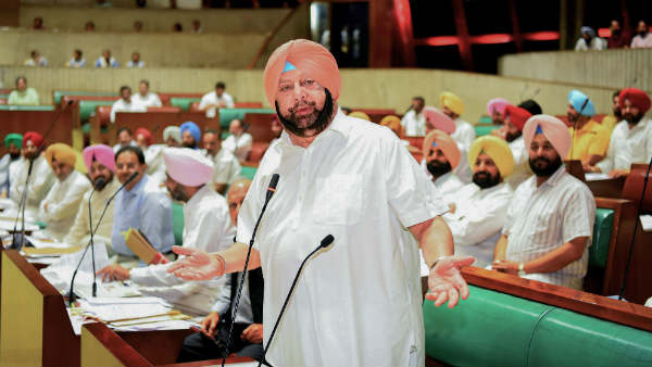 अमरिंदर ने युवा अध्यक्ष के लिए बैटिंग की थी