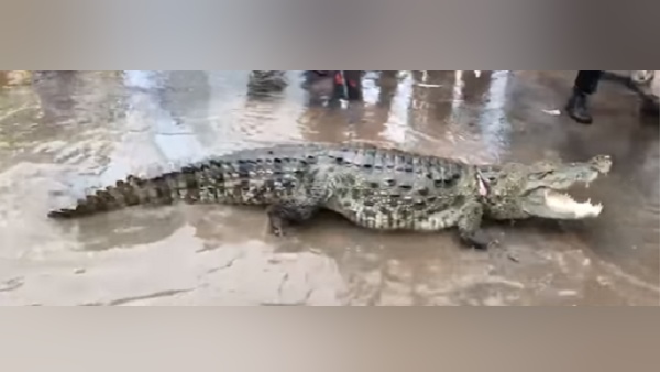 मुंह को रस्सी से बांधा