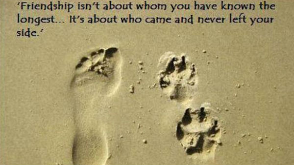 दोस्ती भी प्यार से कम नहीं होती... दोस्ती भी प्यार से कम नहीं होती...