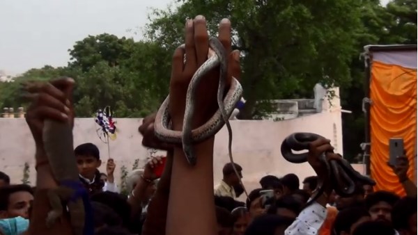churu Gagaji fair devotees come here putting snakes-around the neck