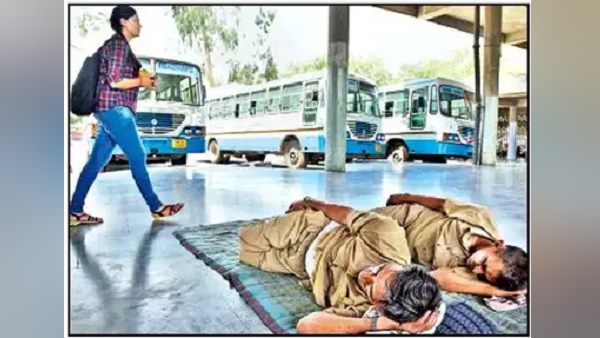 इन बसों में लेनी पड़ेगी टिकट इन बसों में लेनी पड़ेगी टिकट