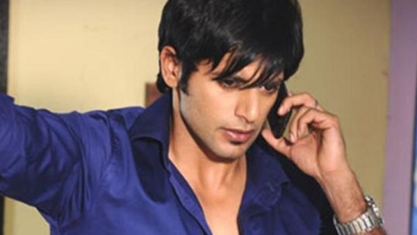 करणवीर ने सुषमा को किया याद