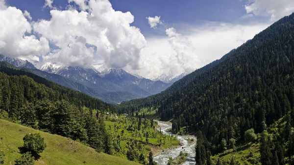 370 ने जम्मू कश्मीर के लोगों का नुकसान किया है 