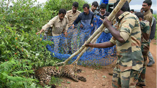 कहानी कहां से शुरू हई? कहानी कहां से शुरू हई?